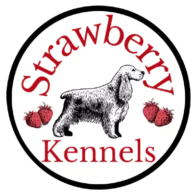 Strawberry Spaniels Kennels
